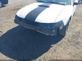 2000 Ford Mustang — photo 6 of 18 | VIN 1FAFP4441YF170635