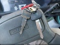 Photo 10 of 15 — 1999 Isuzu NPR