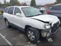 Photo 14 of 17 — 2006 Hyundai Santa Fe