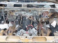2009 GMC Sierra — photo 10 of 10 | VIN 1GTHK59KX9E106244