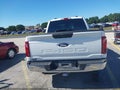 2024 Ford F-150 — photo 17 of 18 | VIN 1FTEW1LP6RKF12768