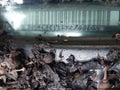 2005 Chevrolet Silverado 1500 — photo 9 of 11 | VIN 1GCEK14V95Z271105