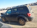 Photo 14 of 16 — 2010 Ford Escape