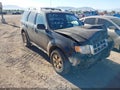 Photo 1 of 16 — 2010 Ford Escape