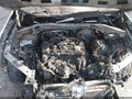 Photo 10 of 10 — 2023 Volkswagen Tiguan