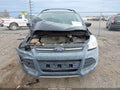 Photo 13 of 17 — 2013 Ford Escape
