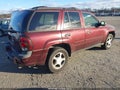 2007 Chevrolet Trailblazer — photo 4 of 11 | VIN 1GNDS13S372272806