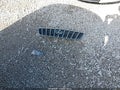 2002 Lexus RX 300 — photo 12 of 17 | VIN JTJGF10U320139478