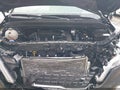 Photo 10 of 15 — 2024 Kia Carnival