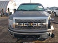 Photo 13 of 17 — 2010 Ford F-150