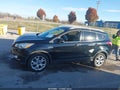 Photo 14 of 18 — 2016 Ford Escape