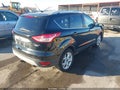 Photo 4 of 18 — 2016 Ford Escape
