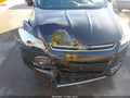 Photo 6 of 18 — 2016 Ford Escape