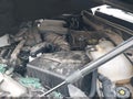 Photo 10 of 17 — 2024 Cadillac Escalade