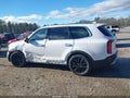2021 Kia Telluride — photo 15 of 18 | VIN 5XYP5DHC8MG147561
