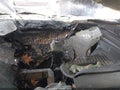 2019 Ford F-250 — photo 12 of 12 | VIN 1FT7W2BT2KEG01349
