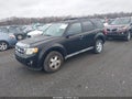Photo 2 of 11 — 2009 Ford Escape