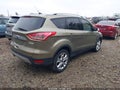 2014 Ford Escape — photo 4 of 17 | VIN 1FMCU0J91EUA39853