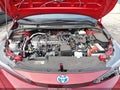 Photo 10 of 16 — 2025 Toyota Corolla