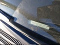 Photo 11 of 11 — 2007 Ford Edge