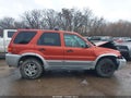 Photo 14 of 19 — 2007 Ford Escape
