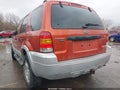 Photo 19 of 19 — 2007 Ford Escape