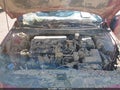 Photo 10 of 10 — 2023 Hyundai Elantra