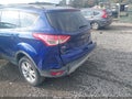 Photo 6 of 12 — 2013 Ford Escape