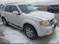 2009 Ford Escape Hybrid — photo 1 of 16 | VIN 1FMCU59389KA99174