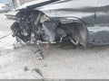 Photo 6 of 18 — 2017 BMW X1