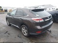 Photo 14 of 16 — 2015 Lexus RX 350