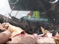Photo 17 of 17 — 2022 Mercedes-Benz E-Class