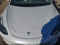 2022 Tesla Model 3 — photo 10 of 21 | VIN 5YJ3E1EB1NF114919