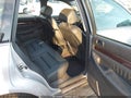 2001 Audi A4 — photo 8 of 11 | VIN WAUKH68DX1A134664