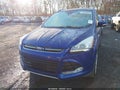Photo 11 of 16 — 2016 Ford Escape