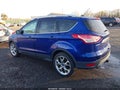 Photo 13 of 16 — 2016 Ford Escape