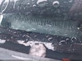 2007 Ford Focus — photo 12 of 12 | VIN 1FAFP34N37W342116