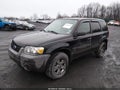 2007 Ford Escape — photo 2 of 11 | VIN 1FMYU93177KA60464