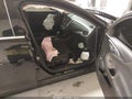 2022 Chevrolet Malibu — photo 5 of 16 | VIN 1G1ZB5ST1NF204180