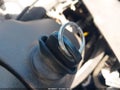 Photo 11 of 20 — 1999 Ford Mustang