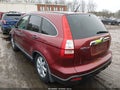2009 Honda CR-V — photo 3 of 12 | VIN 5J6RE485X9L037398