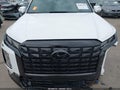 Photo 10 of 17 — 2025 Hyundai Palisade