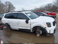 2025 Kia Telluride — photo 14 of 18 | VIN 5XYP3DGC3SG662956