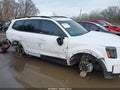 2025 Kia Telluride — photo 6 of 18 | VIN 5XYP3DGC3SG662956