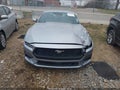 Photo 12 of 16 — 2024 Ford Mustang