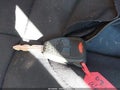 2007 Jeep Wrangler Unlimited — photo 11 of 17 | VIN 1J4GA59137L211796