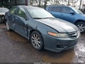 2006 Acura TSX — photo 1 of 16 | VIN JH4CL96836C021887