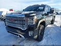 2020 GMC Sierra — photo 2 of 15 | VIN 1GT49REY9LF270713