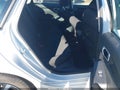Photo 8 of 17 — 2024 Honda Civic
