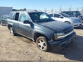 2006 Chevrolet Trailblazer — photo 1 of 11 | VIN 1GNDT13S762110558